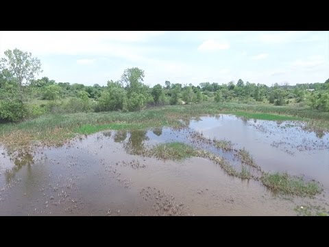 Lillie Park Drone Video