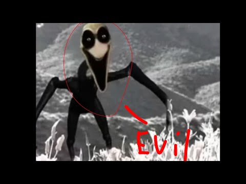 My name is anderdingus | The Parallel Animation