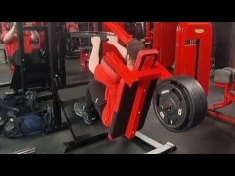 Spring Bulk Day 141-Legs