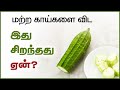 Ridge Gourd Benefits In Tamil Peerkangai 24 Tamil Health