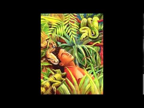 Sychotria vs Magma Ohm - Tales from the amazon rainforest