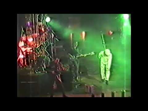 Thumbnail for Steve Taylor and Some Band- Since I gave up Hope I feel a lot better/I blew up the Clinic Real Good by Concert, Steve Taylor