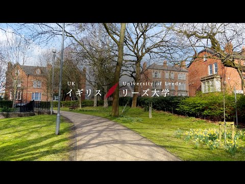 早稲田大学留学リポート/Study Abroad Report 2025 #3リーズ大学/University of Leeds, UK