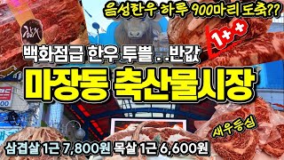 마장동 한우의 끝판왕 투뿔~ 삼겹살 목살 마트 반값 싸게 사는 방법 나만 몰랐다! 전국최대 마장동 축산물시장 근황