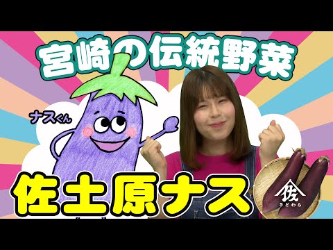 ナス君と学ぶ “宮崎の伝統野菜 佐土原ナス”