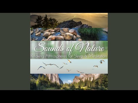 African Jungle at Night