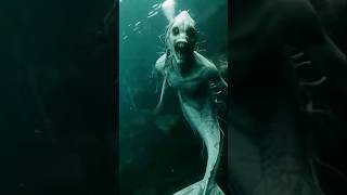 Download lagu Rare Mermaid Caught On Camera In South African River mp3