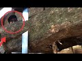 I Ve Never Lifted Wood This Heavy In A Sawmill
