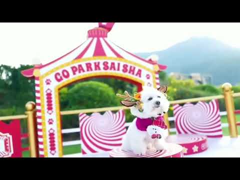 Carousel Kids Rides