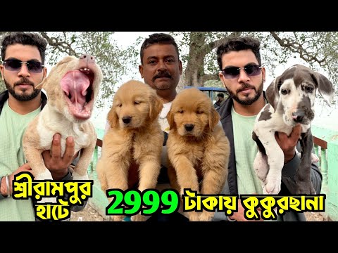 Pet Market in Kolkata. Serampore Pet Market. Dog Market in Kolkata Price.