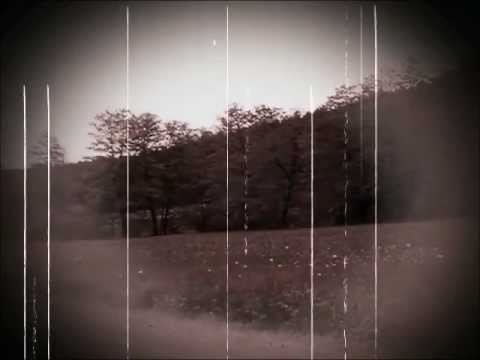 Steirische Harmonika Bavaria folk music