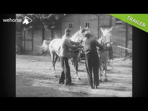 Hannoveraner Zucht: Der Hengst ruft | Historische Schätze