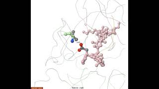 Chemical Bonds and Macromolecular Structures