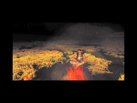 Welcome to Bandit Nation