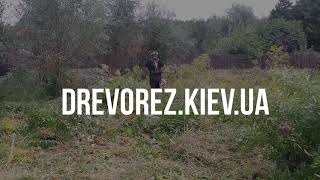 youtube-thumb