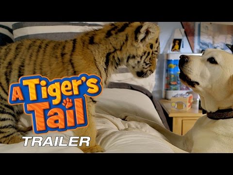 Трейлер