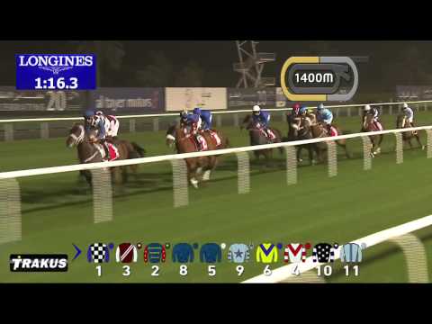 07.03.2015 Meydan (Dubai/UAE) 6.Race Dubai City Of Gold - Group II  2.410 m