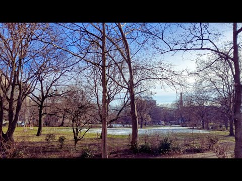 Sunny Afternoon for Piano by A.Alvarado. Performed by Eriya Kawauchi