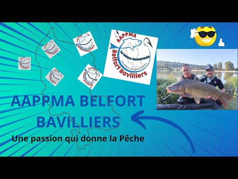 Enduro 2021 carpes, Etang des Forges, partie 2: les pesées et poissons, Aappma Belfort Bavilliers