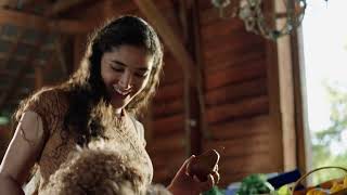 PetSmart Kitchen: NUTRO Adult Dog