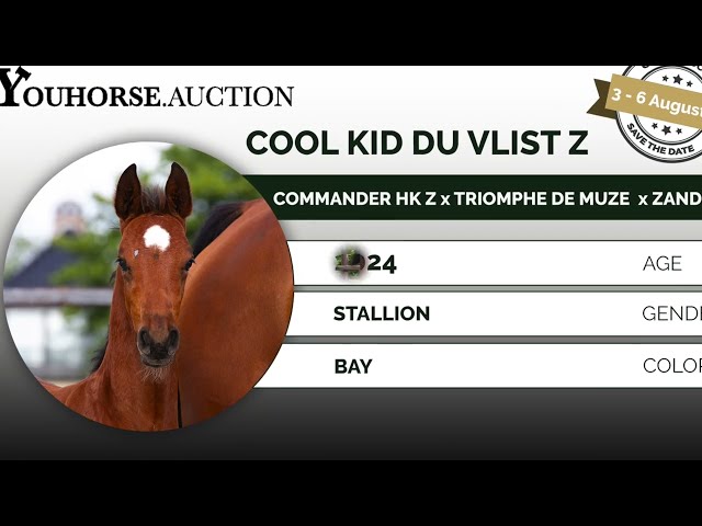 Coolkid du Vlist z