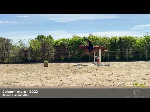 youtube preview