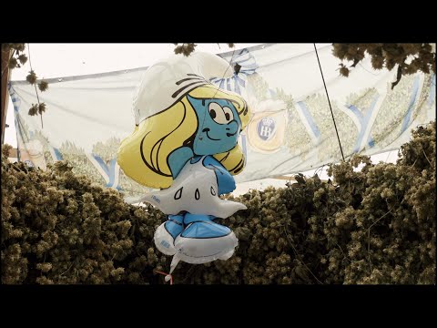 OKTOBERFEST 2018 | 4K