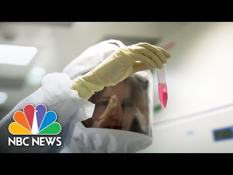Full Doctors: 'Truly Unprecedented' Race For A Vaccine Underway | Meet The Press | NBC News
