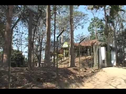 Molvibazar EP 06 Final