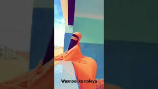 daabo mcn wasmo raaxo kacsi  #shorts #niiko LIVE SOMALI