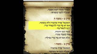 משניות בבא מציעא פרק ט משנה ה