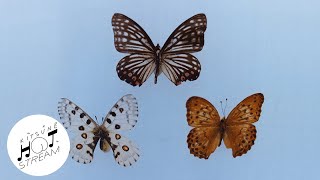 O3ohn - kalt (feat. JOONIE) | Kitsuné Hot Stream