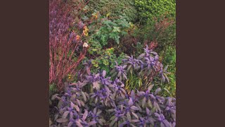 Grounds for Resentment (feat. Olly Alexander)