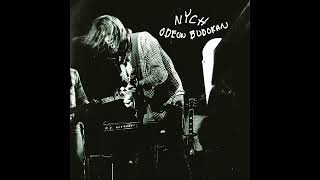 Neil Young with Crazy Horse - Drive Back (Live)(Official Audio)