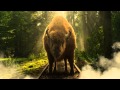 ZUBR Tracks