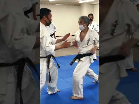 【三浦空手】前手の使い方 #崩し #誘い #騎馬立ちの応用 #miura karate #karate #martialarts #shorts