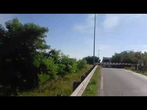 Treno littorina ALn663 al P.L. di Cavarzere (VE)