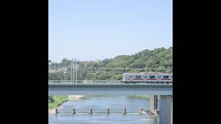 inst - 夏の正体