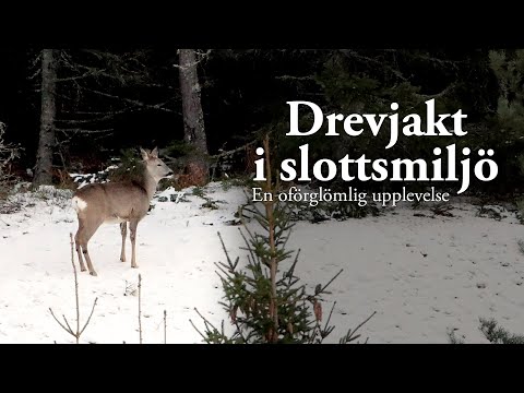 Jaktresan: Drevjakt i slottsmiljö