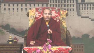 His Holiness Karmapa gives audience to devotees from South East Asia