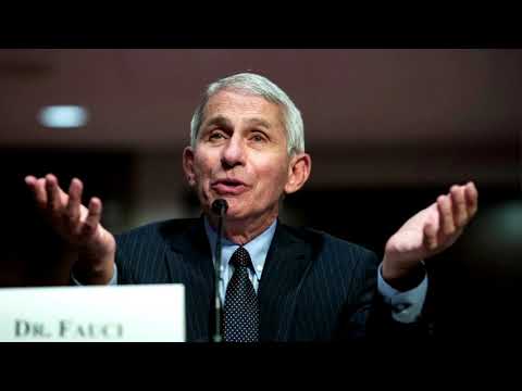 舉國上下人心惶惶，拜登與特朗普競相角逐。 (A nation on edge, Biden and Trump race to the finish)