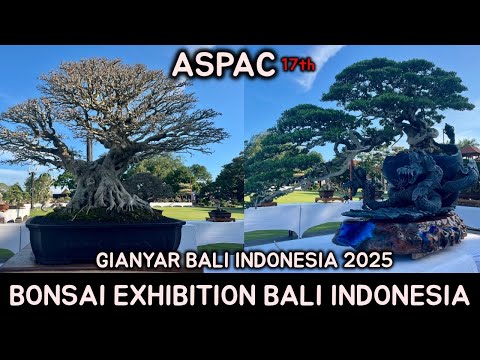 Bonsai Exhibition indonesia Bali - 17th ASPAC Asia pacific Bonsai and suiseki 2025