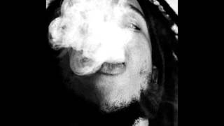 Inna di Red - Stephen Marley (Miguel Salvadinha)