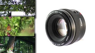 Video thumbnail for Canon EF 50mm F1.4 USM DSLR Lens Review by Digimanie.cz