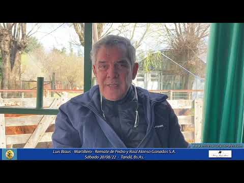 20-08-22 - Luis Biaus - Martillero - Remate de Pedro y Raúl Alonso Ganados S.A. - Tandil, Bs.As.