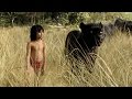 The Jungle Book Scarlett Johansson Narrates The First Trailer For Disney S Live Action Film