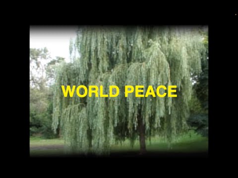 World Peace