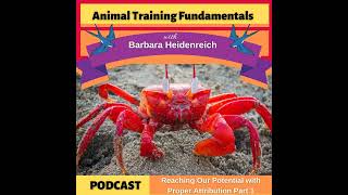 41-Reaching Our Potential with Proper Attribution Pt 1
