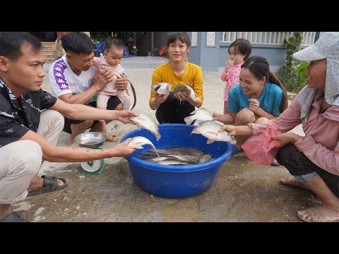 Encounter a huge school of fish - Harvesting fish Goes To Countryside Market Sell