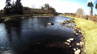 Salmon Fishing Scotland Cairnton, River Dee, Aberdeenshire.